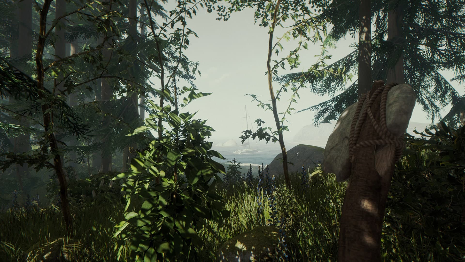 The Forest, скриншот 3