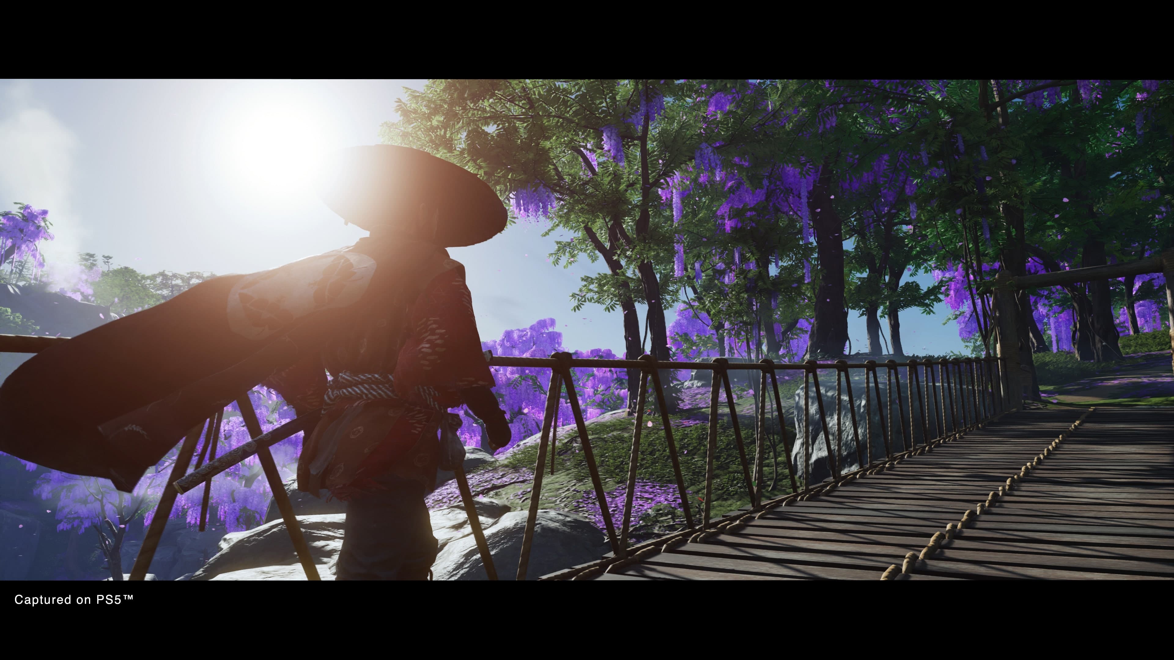 Ghost of Tsushima Director'S CUT, скриншот 6