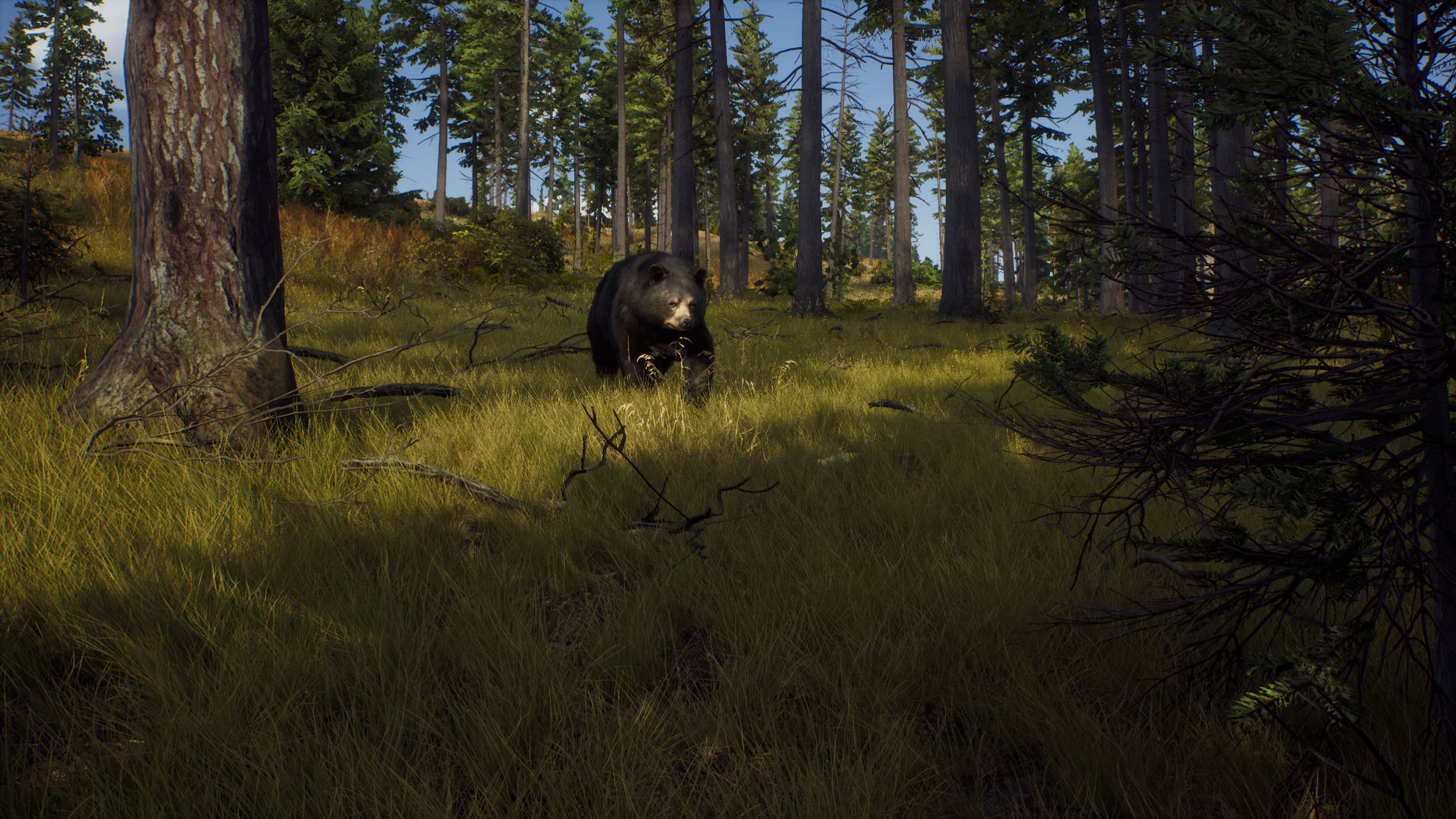Way of the Hunter, скриншот 3