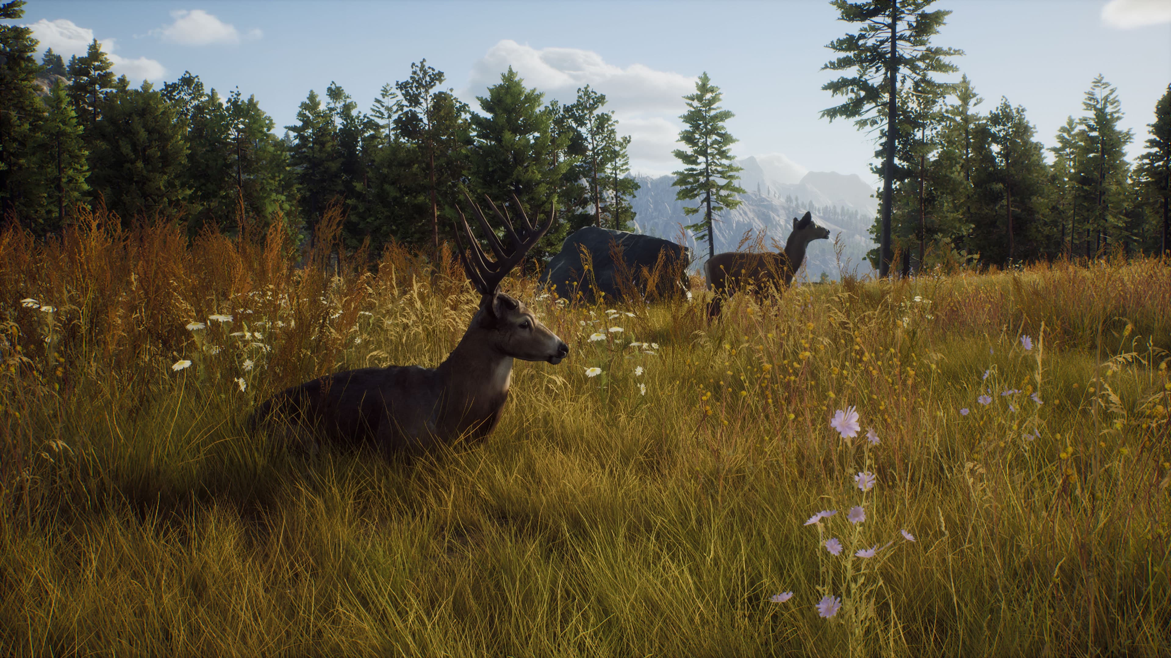 Way of the Hunter, скриншот 4