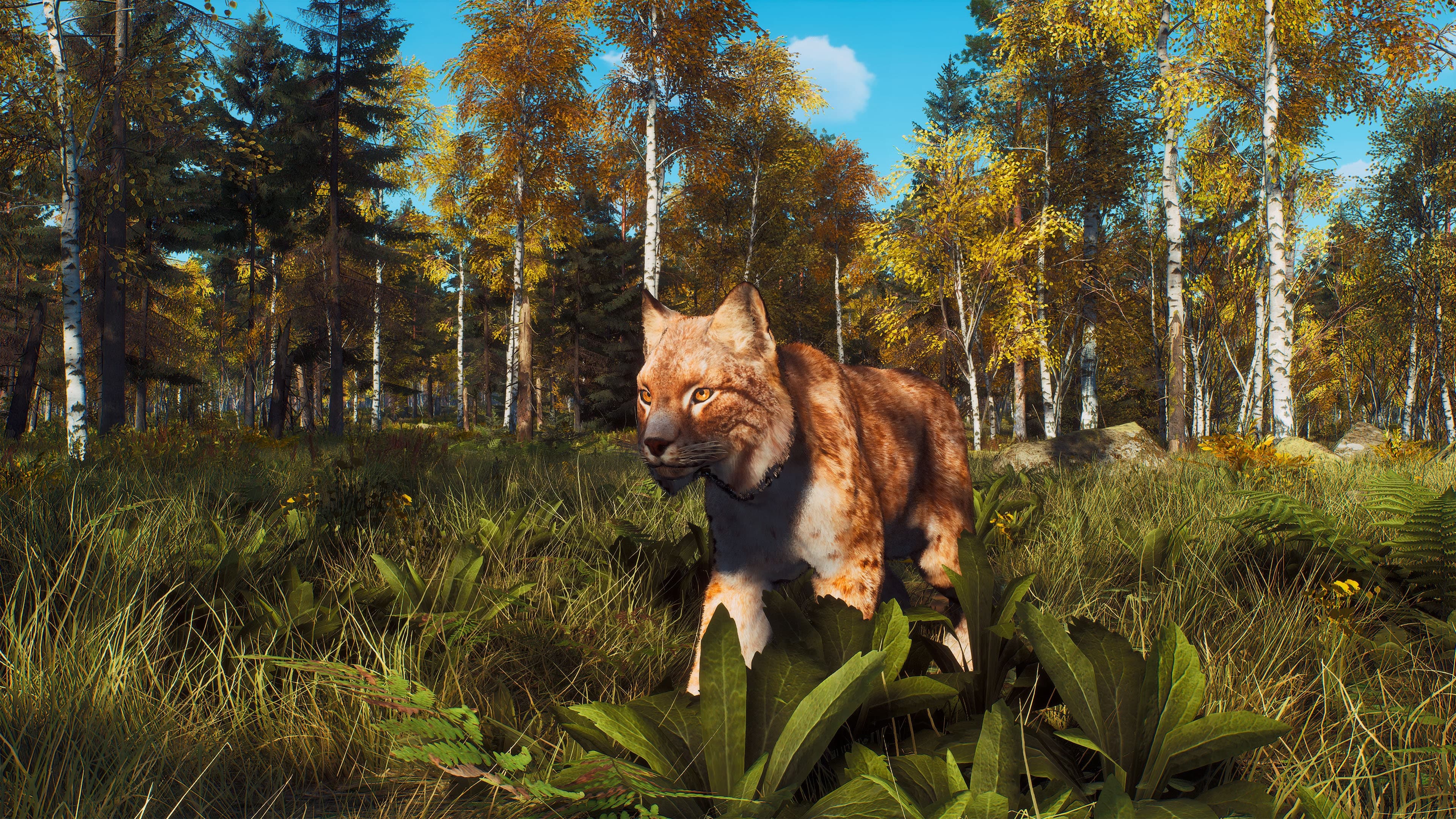 Way of the Hunter, скриншот 9
